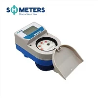 Remote Dirèk Lekti GPRS Smart Water Meter